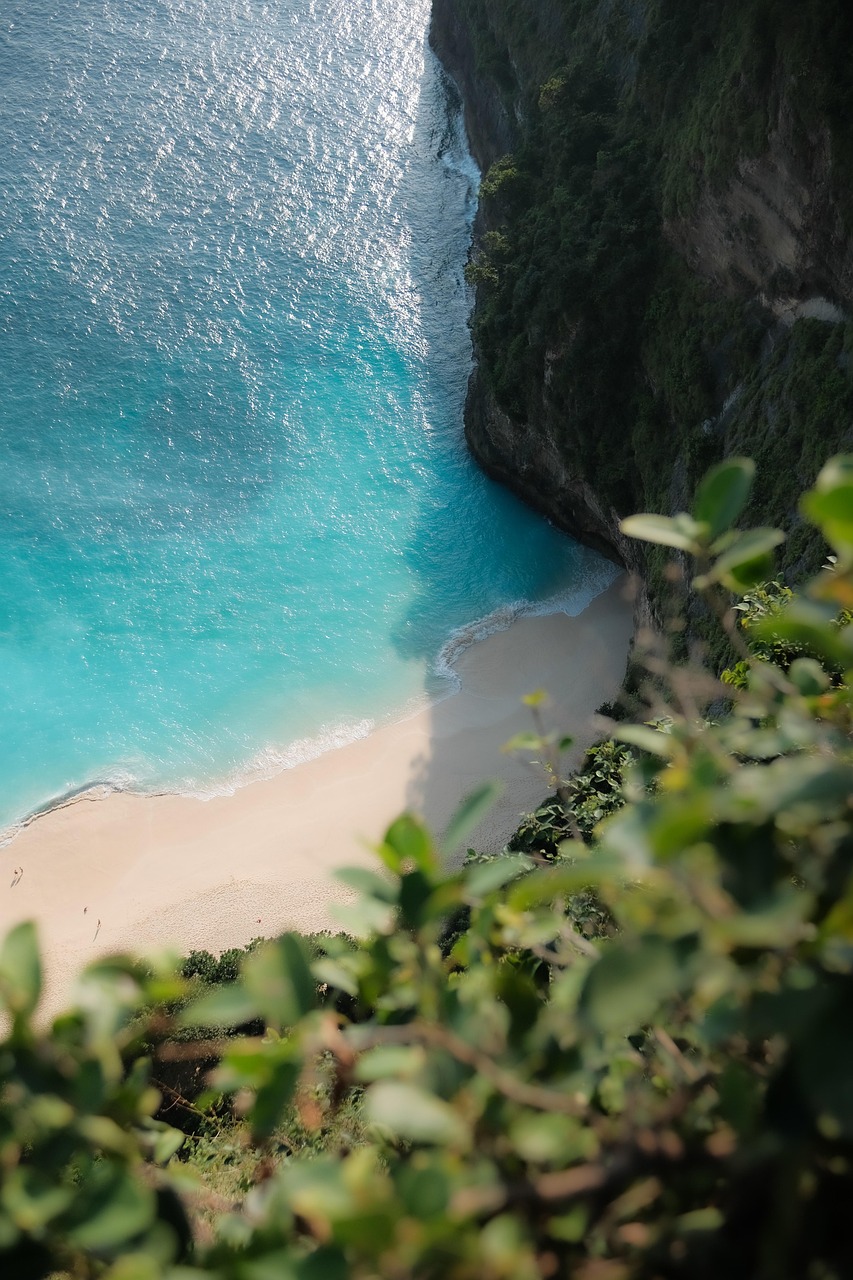 beach, bali, nusa penida, indonesia, nature, forest, landscape, paradise, beach, bali, bali, bali, bali, bali, indonesia